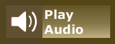 Play Audio button informs the user when supplemental information is available.